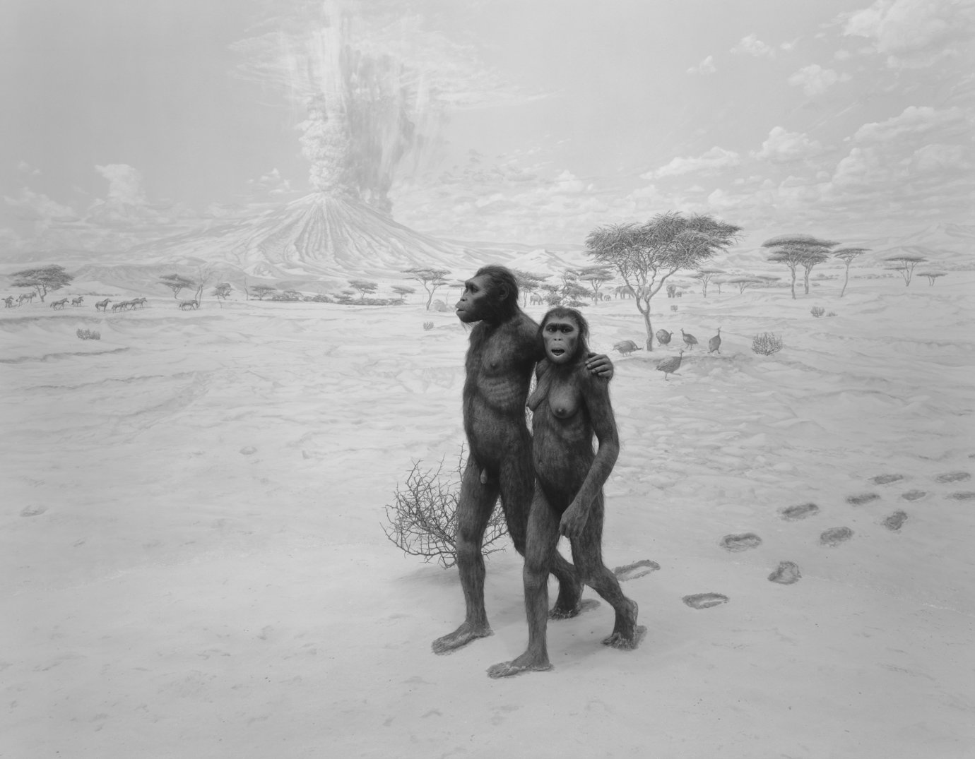 , 1994. Gelatin silver print, 47" x 58-3/4" (119.4 cm x 149.2 cm).