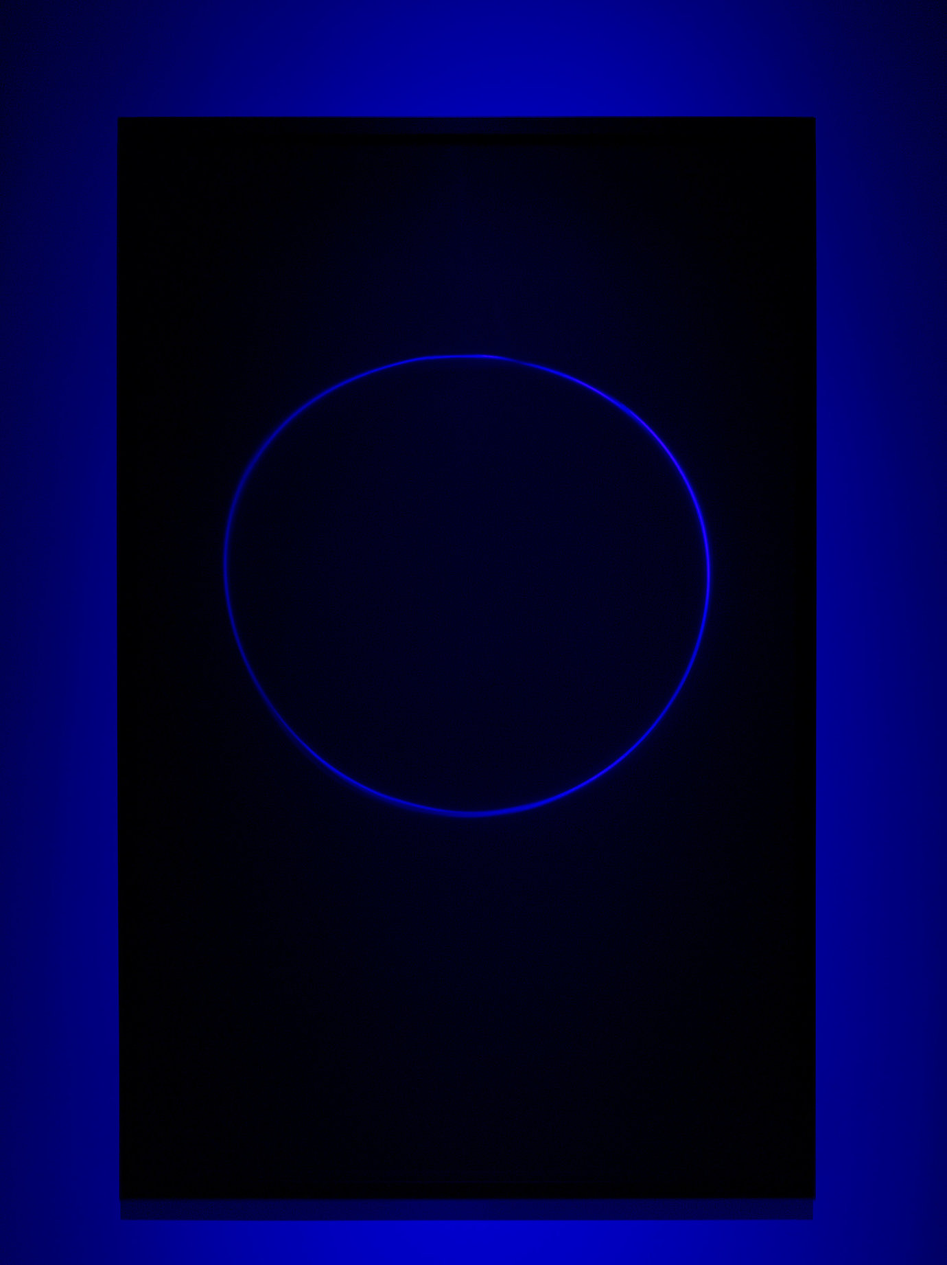, 2008. Transmission light work, 61-1/2" x 39-1/2" (156.2 cm x 100.3 cm).