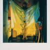 Lucas Samaras and the Polaroid in New York Magazine