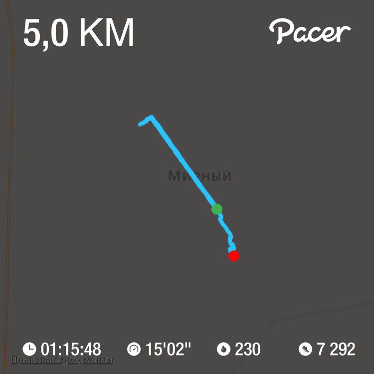 PacerЛейди_1984 post 1