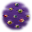 Ocular Cluster