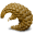Pangolin