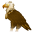 Dreams - Avian Lord