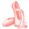 Ballet Slippers