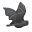 Vampire Bat