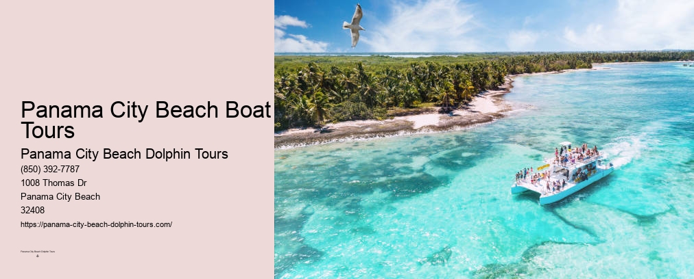 Dolphin Boat Tour Panama City Beach