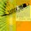 Suhov - Symphaty Modul artwork
