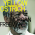 Yellow Ostrich - The Morgan Freeman EP artwork
