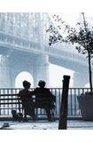 Portada de El nuevo york de woody allen  (Jacqueline Susann)