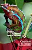 Reino animal's poster ()