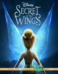 Secret of the Wings's poster (Bradley Raymond)