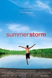Summerstorm's poster (Marco Kreuzpaintner)