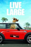 Marmaduke's poster (Tom Dey)