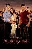 The Twilight Saga: Breaking Dawn Part 1's poster (Bill Condon)