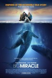 Everybody Loves Whales's poster (Ken Kwapis)