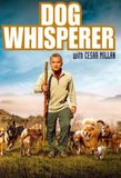 The Dog Whisperer's poster ()