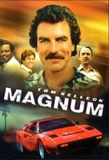 Magnum, P.I.'s poster (Donald P. Bellisario (Creator)Glen A. Larson (Creator))