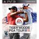Tiger Woods PGA Tour 11's poster ()
