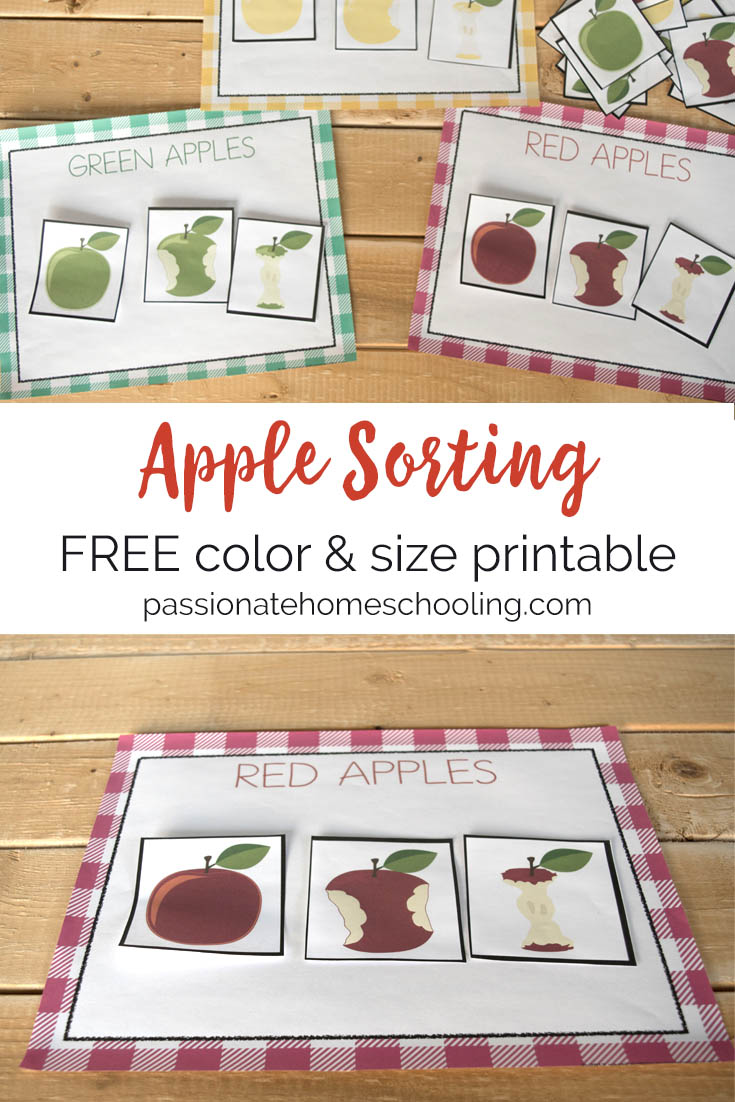 Apple Sorting Printable Free printable apple sorting mats. Help your child practice color sorting with these red, green, and yellow apple printables. Great color practice for homeschool, toddlers and preschoolers. 1 color for each color and apple cards. Cards can be used to sort by color or size. #homeschooling #toddler #preschool #freeprintable