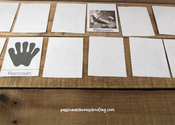 Animal Footprint Matching Activity Free printable animal track matching game for kids.
