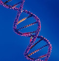 Parkinson’s Genetics Engine to Enhance Research Through Shared Data