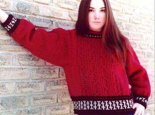 https://d24b8wp6jbsvpy.cloudfront.net/pattern_picture_w496s/220/204-sweateronly.jpg