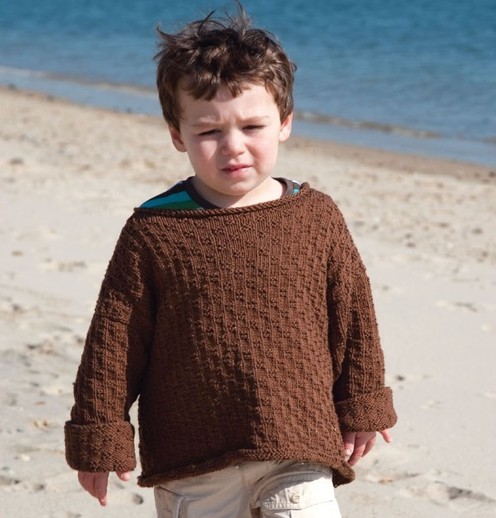 https://d24b8wp6jbsvpy.cloudfront.net/pattern_picture_w496s/45905/Reynolds-82501-BoysTexturedPullover.pdf-1main.jpg