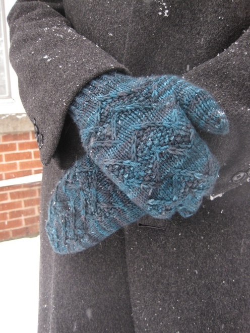 https://d24b8wp6jbsvpy.cloudfront.net/pattern_picture_w496s/53422/Jan15-Oz4.jpg