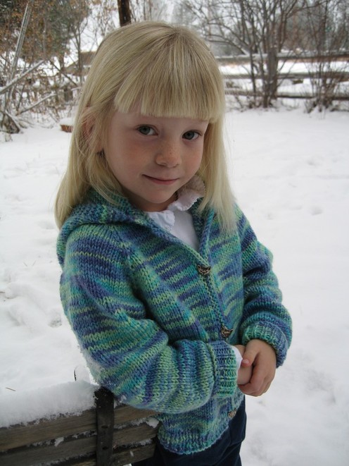https://d24b8wp6jbsvpy.cloudfront.net/pattern_picture_w496s/53990/981_kid_cardi.jpg