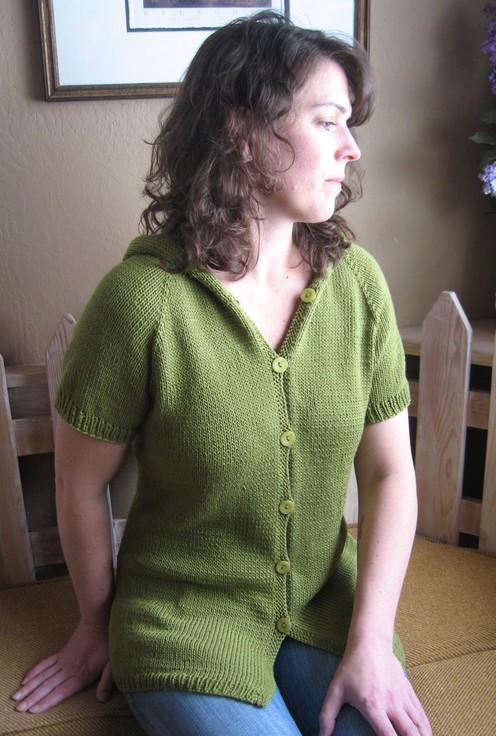 https://d24b8wp6jbsvpy.cloudfront.net/pattern_picture_w496s/54094/102_short_sleeved_hoodie.jpg