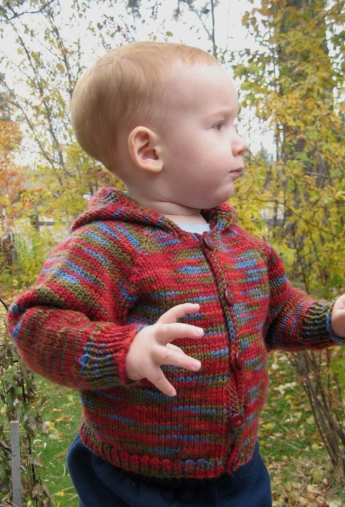 https://d24b8wp6jbsvpy.cloudfront.net/pattern_picture_w496s/54463/982_baby_cardi.jpg