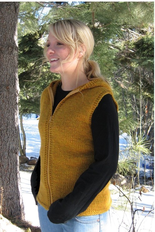 https://d24b8wp6jbsvpy.cloudfront.net/pattern_picture_w496s/57861/272_hood_vest_012.JPG