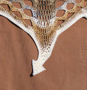 Tail_only_thumb
