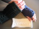 Cbg-2_thumb