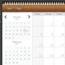 Apps_ipad_moneywiz_skeuo_calendar