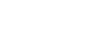 Project Sponsor