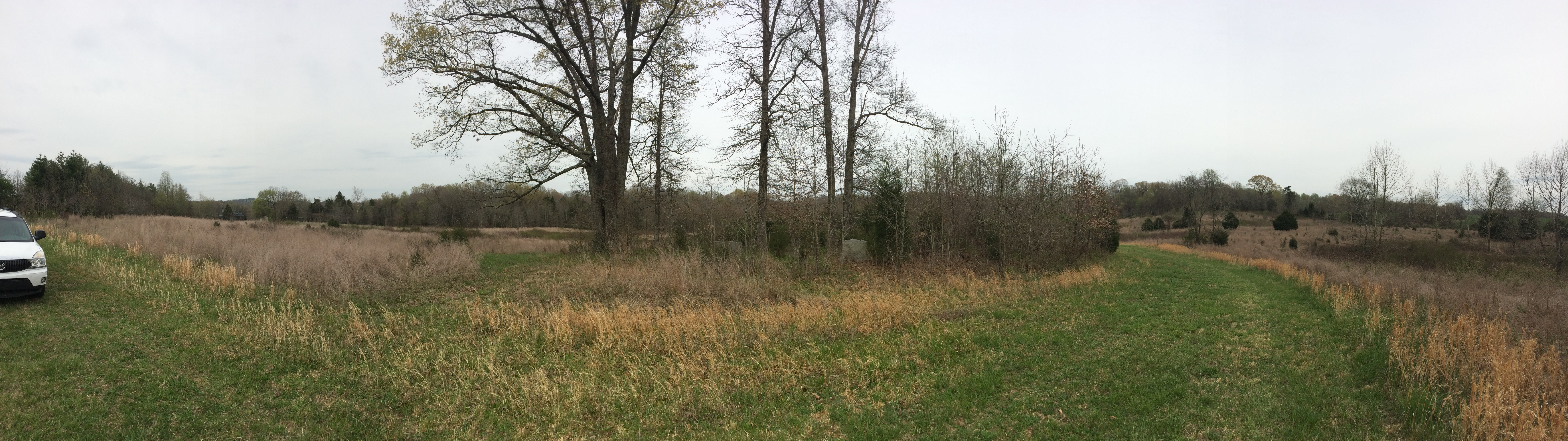 Finding the John Johnston Cemetery