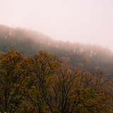 20111029-img_0033