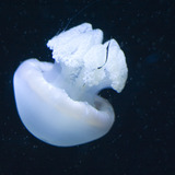 20120401-img_0253