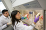 yaleibdprogram