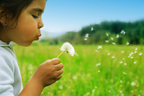 Finding Wonder in Nature