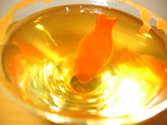 Toasting the New Year