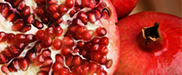 Rosh Hashanah Recipe Roundup
