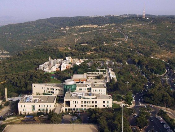 Israel Still Needs Support in Fire Aftermath