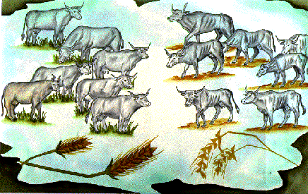 Vayigash: Hunger, Politics, and Ethical Governance
