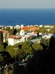 Report from Haifa