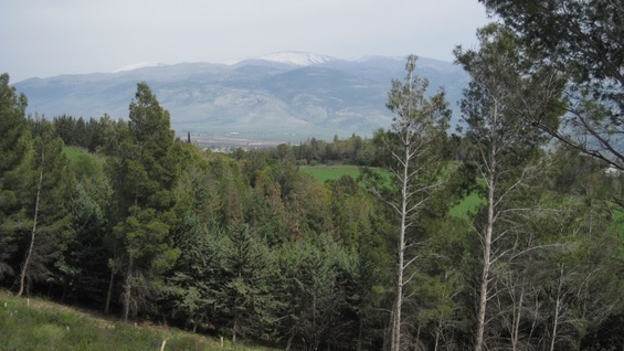 The Great Outdoors