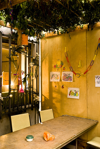 Go Outside! It's Sukkot!