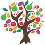 Celebrate Tu BShevat: The New Year of the Trees
