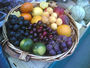 Shavuot 2012 Extravaganza - Day One: Shabbat plus Erev Shavuot